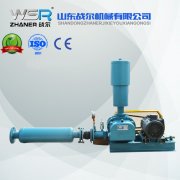 WSR-80脫硫用羅茨鼓風(fēng)機