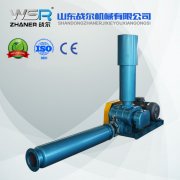 脫硫用羅茨鼓風(fēng)機WSR-50